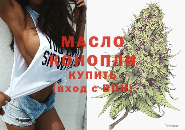 дживик Долгопрудный