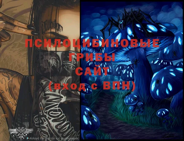крисы Медвежьегорск