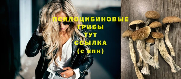 спайс Артём