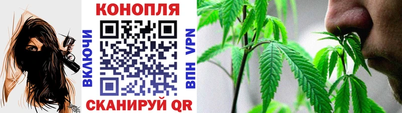 Бошки марихуана семена Щёкино